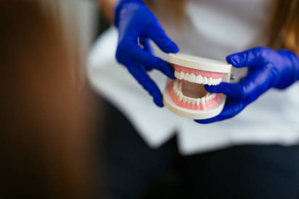 Best Dental X-Rays and Imaging  in Charlotte Harbor, FL